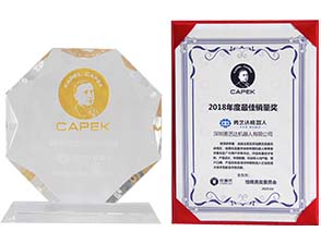 2018年度最佳销量奖